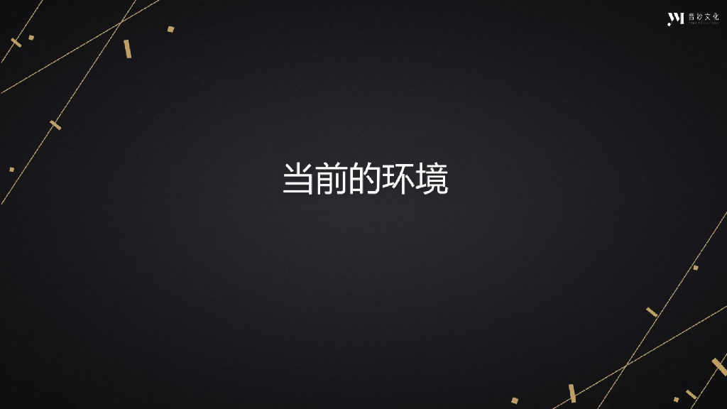 音妙文化88爱琴日跨界合作方案_第5页