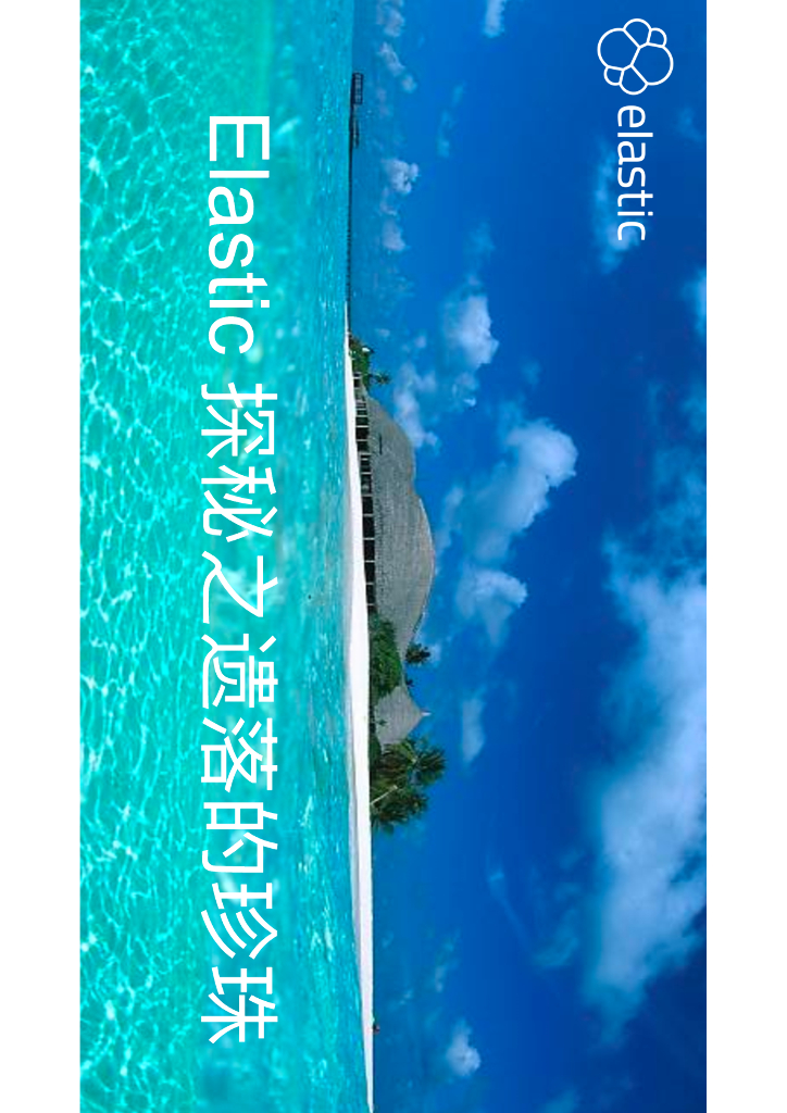 Elastic 探秘之遗落的珍珠