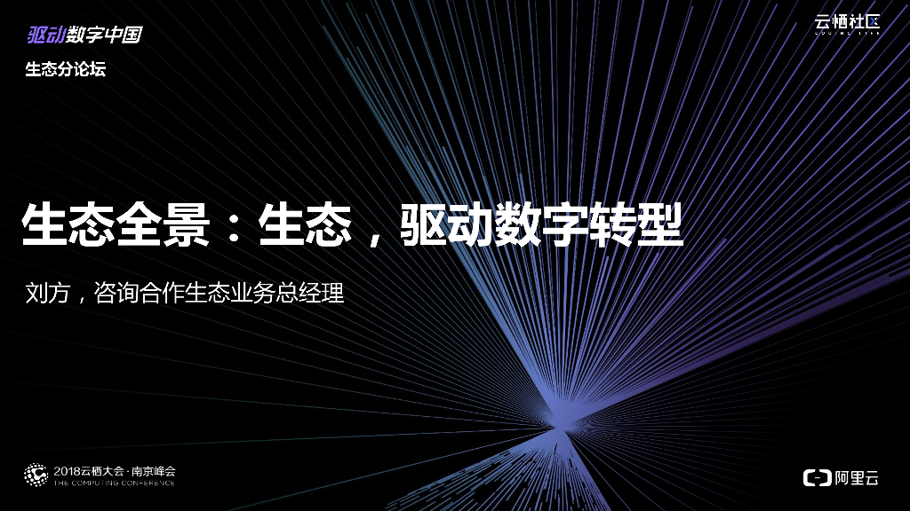 生态全景：生态，驱动数字转型