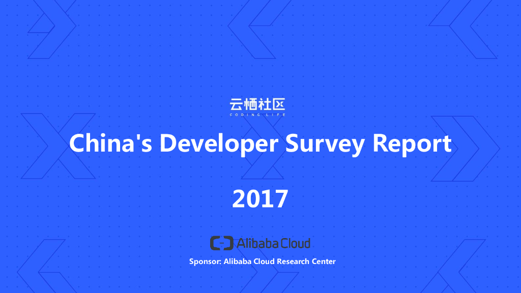 China's Developer Survey Report