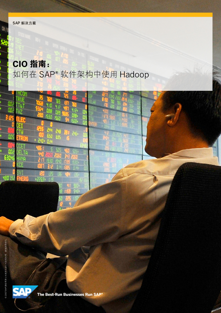 CIO指南：如何在SAP®软件架构中使用Hadoop