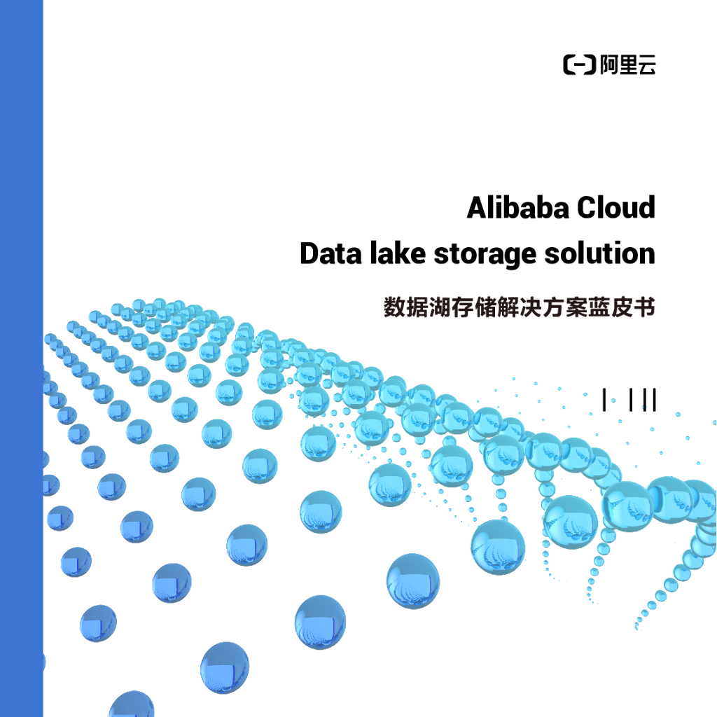 阿里云：数据湖存储解决方案蓝皮书