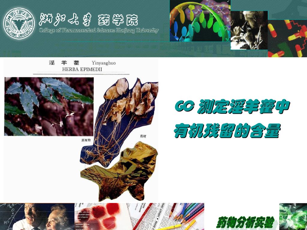 《药物分析》教学课件-12种药物的色谱设计性实验讨论9