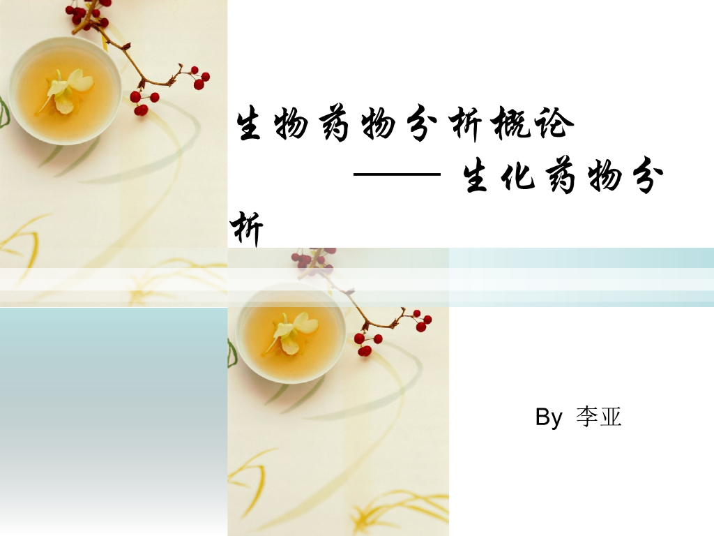 《药物分析》教学课件-第十章 生物药物分析概论（学生发言）