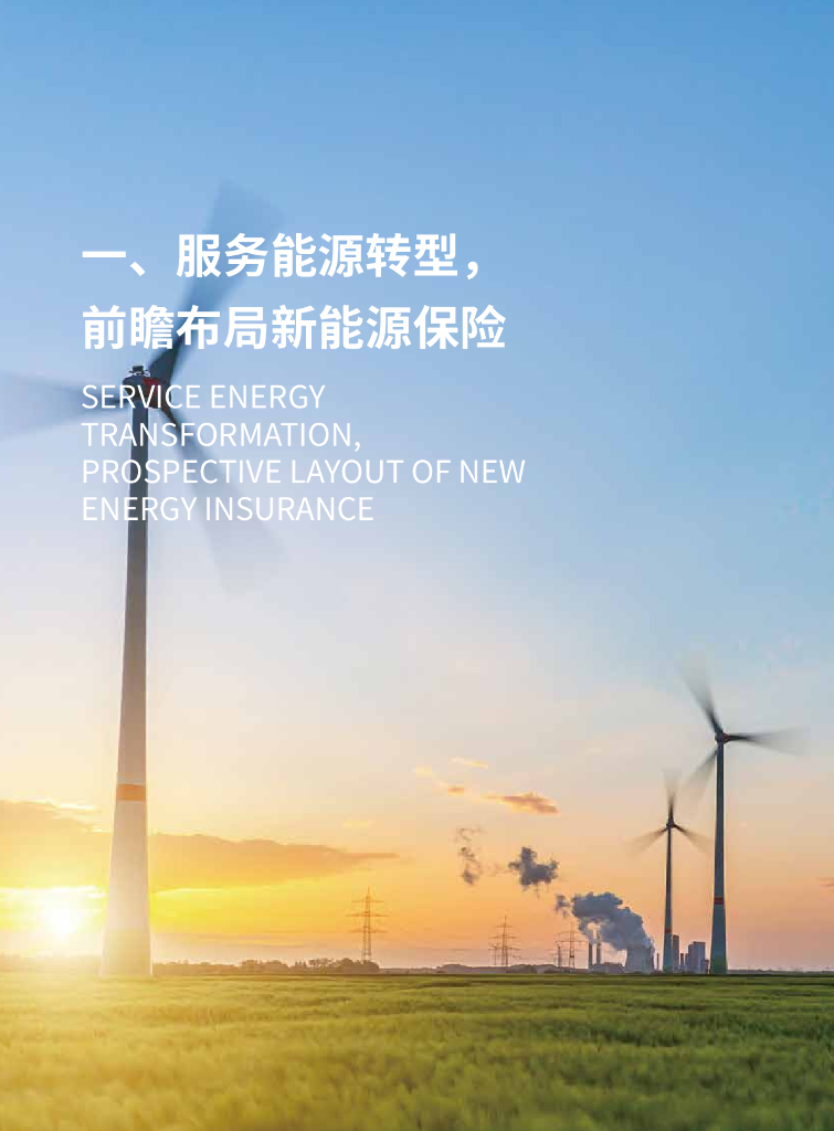 中国人民保险集团：服务碳达峰碳中和战略发展报告_第6页