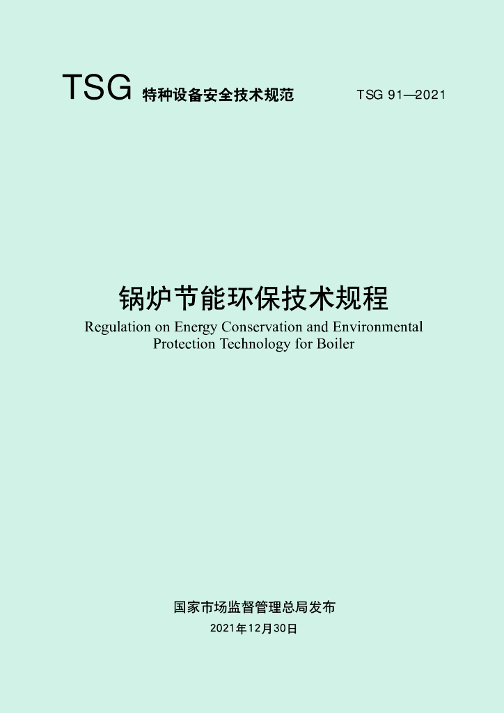 TSG 91-2021 标准预览