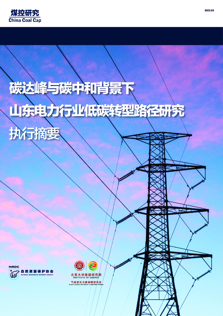 煤控研究&北京大学能源研究院：碳达峰与<em>碳中和</em>背景下山东电力行业低碳转型路径研究 海报