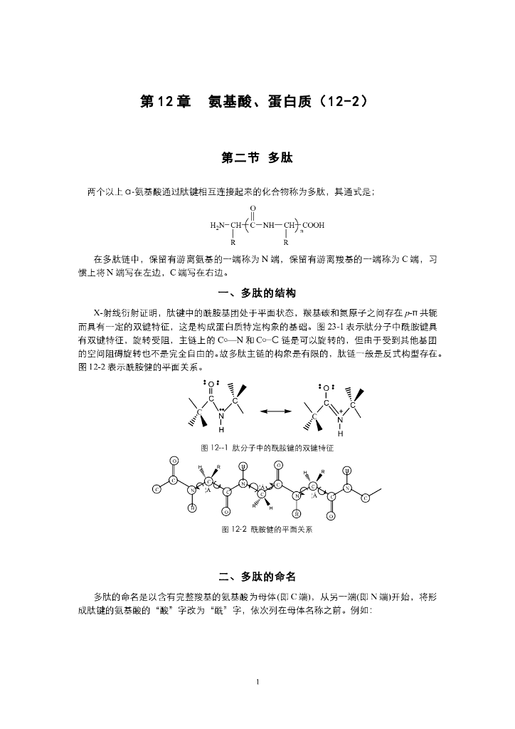 《有机化学》电子教材-肽和蛋白质的结构和性质