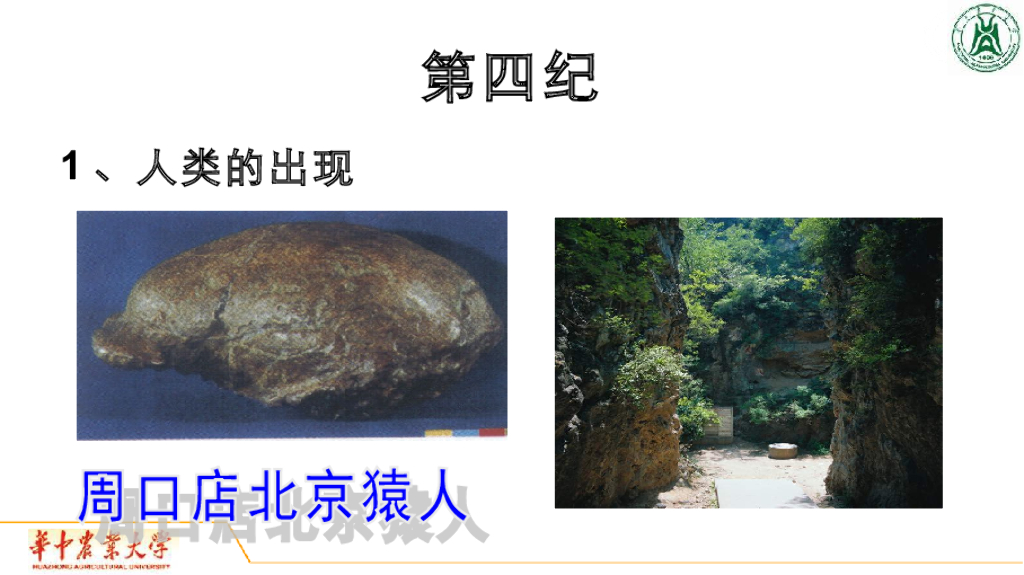 《地质与地貌学》演示文稿-第四纪地质