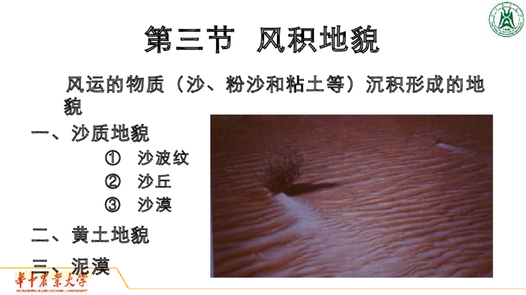《地质与地貌学》演示文稿-风积地貌