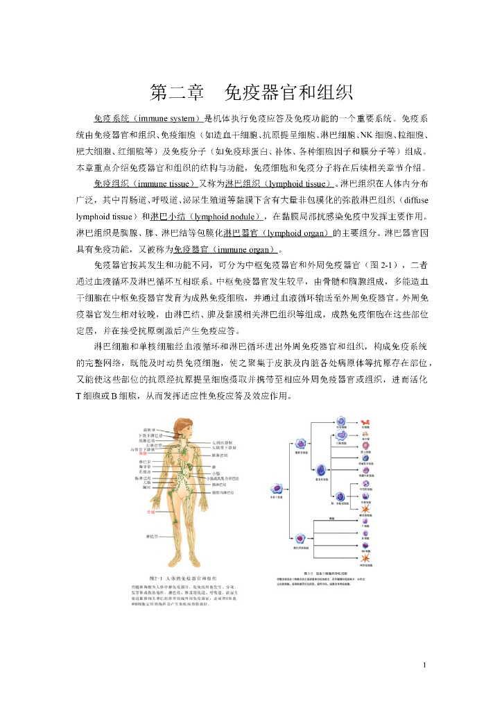《医学免疫学》第二章 免疫器官和组织