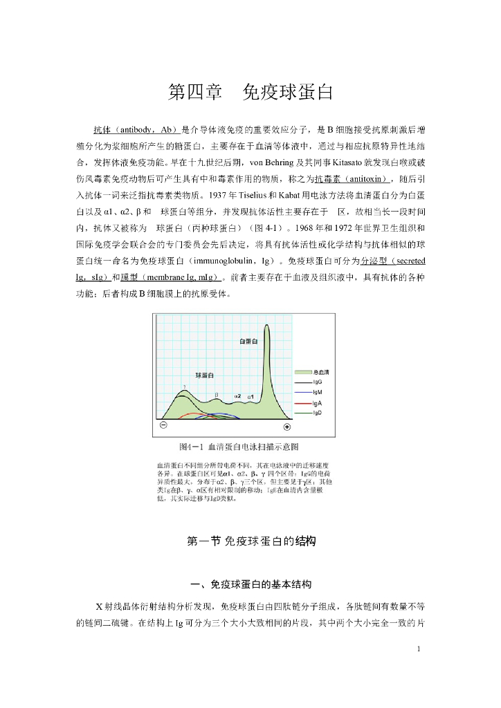 《医学免疫学》第四章 免疫球蛋白