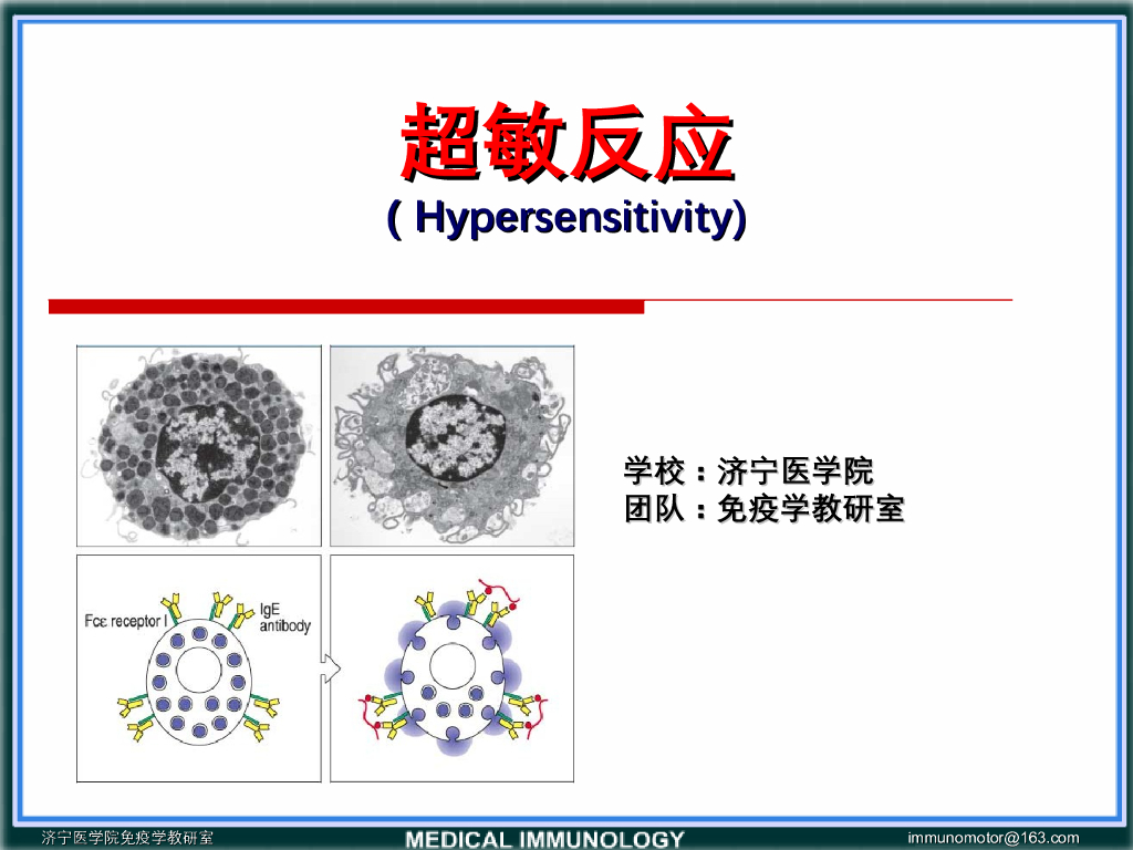 《医学免疫学》演示文稿-Ⅰ型超敏反应