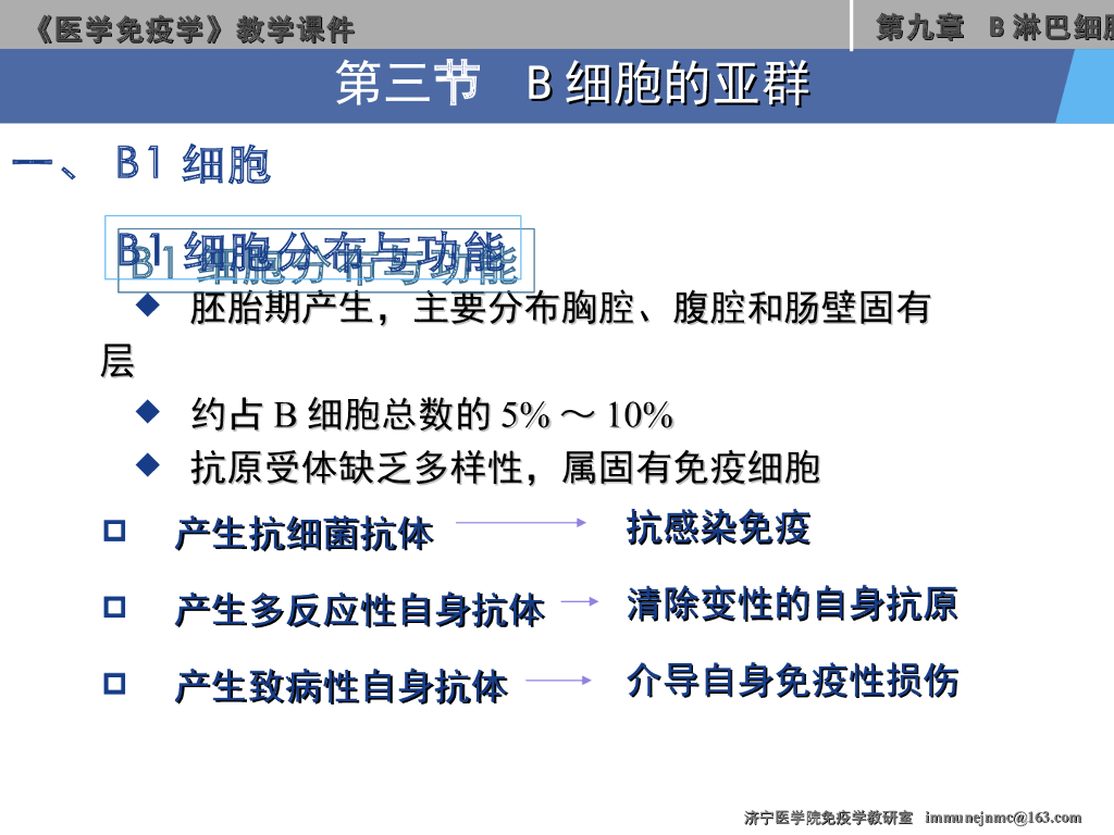 《医学免疫学》演示文稿-B淋巴细胞的亚群