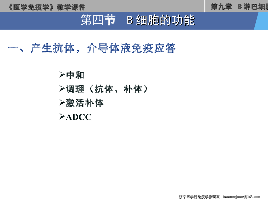 《医学免疫学》演示文稿-B淋巴细胞的功能