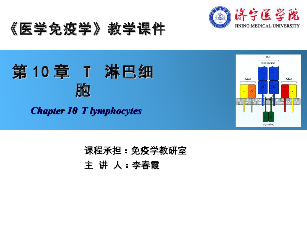 《医学免疫学》演示文稿-T淋巴细胞的分化发育
