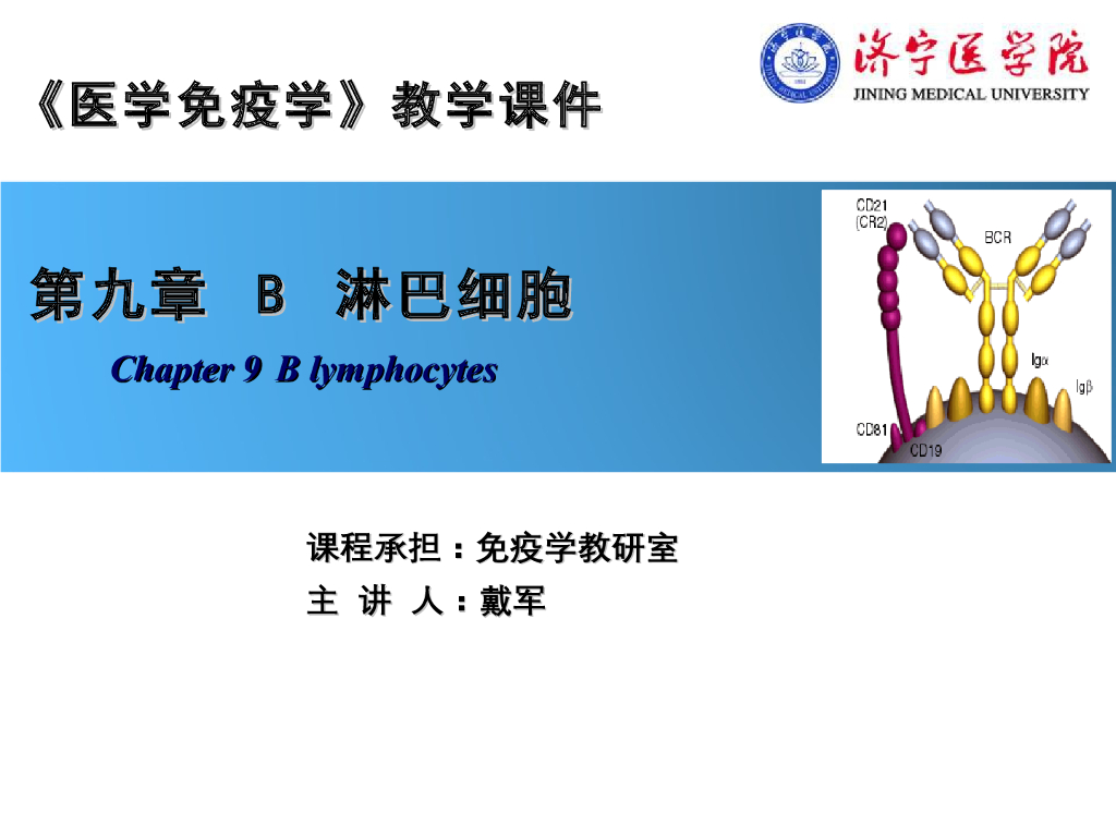 《医学免疫学》演示文稿-B细胞的分化发育