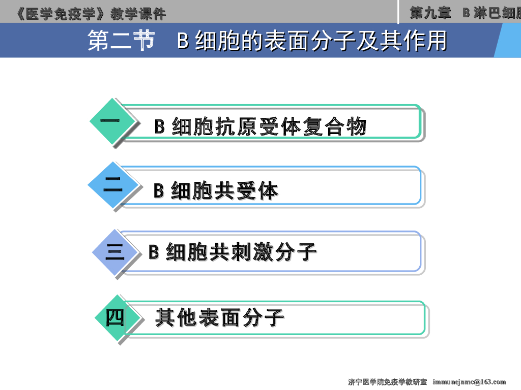 《医学免疫学》演示文稿-B淋巴细胞的表面分子及其作用