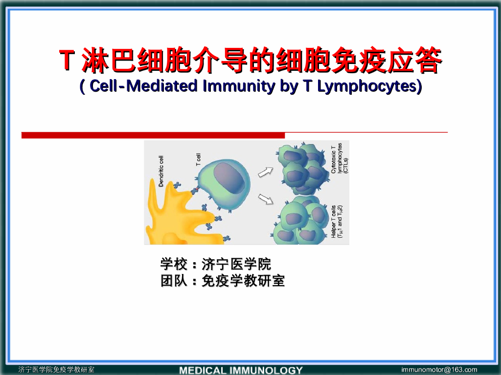 《医学免疫学》演示文稿-T细胞的效应功能