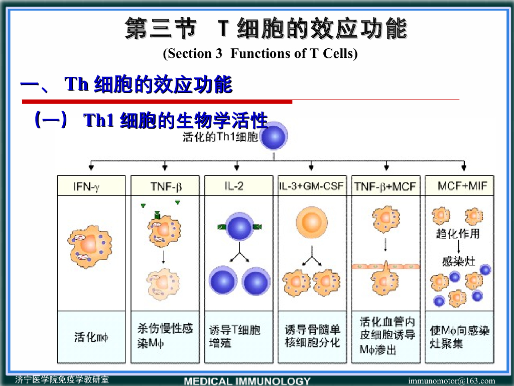 《医学免疫学》演示文稿-体液免疫应答抗体产生的一般规律