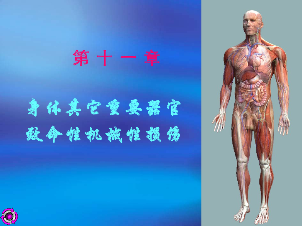 《医学免疫学》脊柱与脊髓损伤