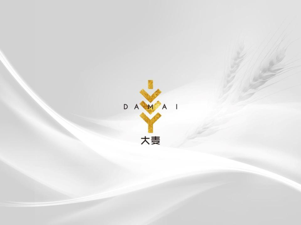 大麦传播-2019中海万松九里推广策略方案