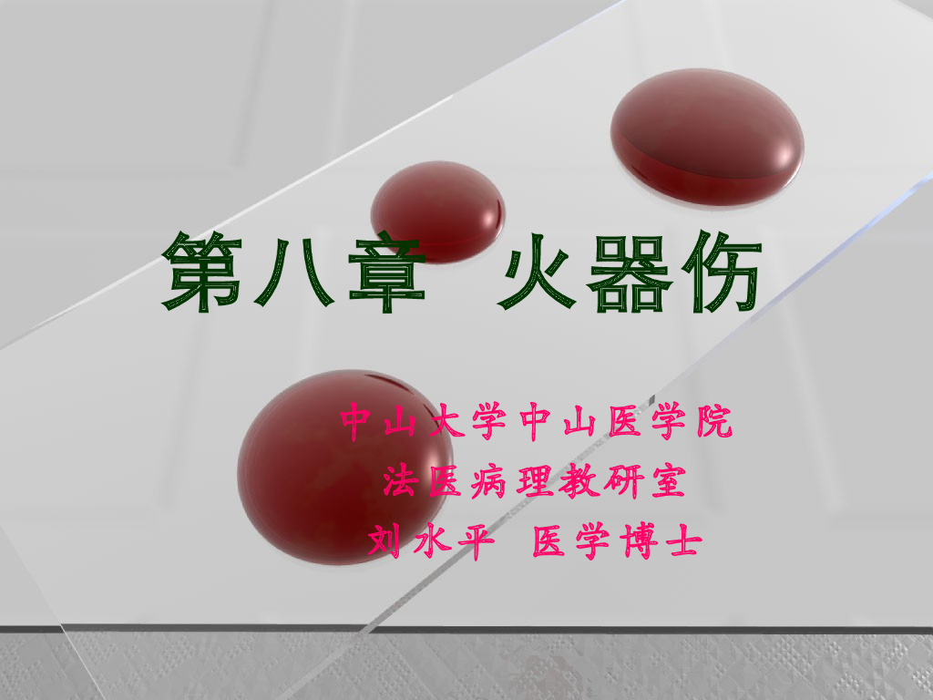 《医学免疫学》演示文稿-枪弹损伤的形态特征