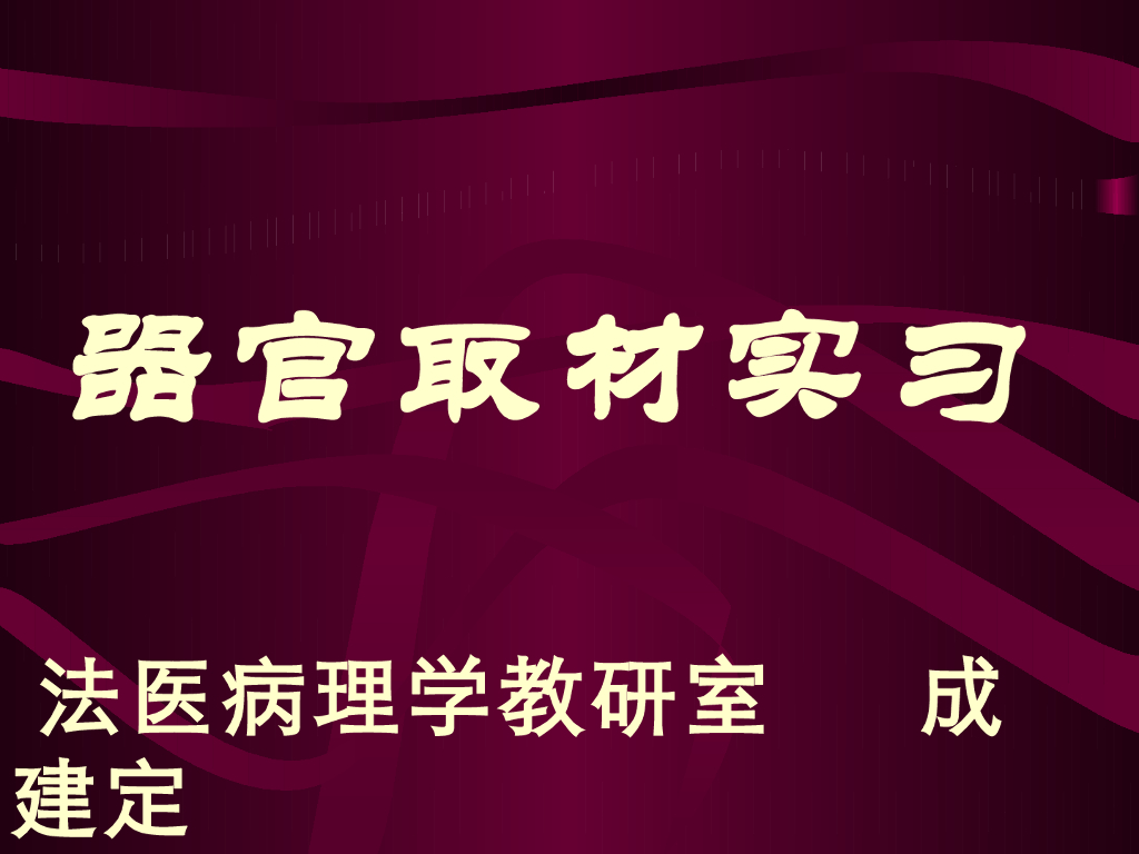 《医学免疫学》演示文稿-心传导系统及各脏器取材