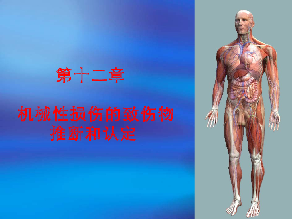 《医学免疫学》演示文稿-损伤时间推断