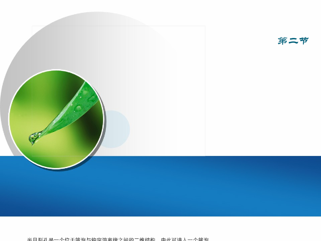 《放射诊断学》演示文稿-鼻和鼻窦疾病 新
