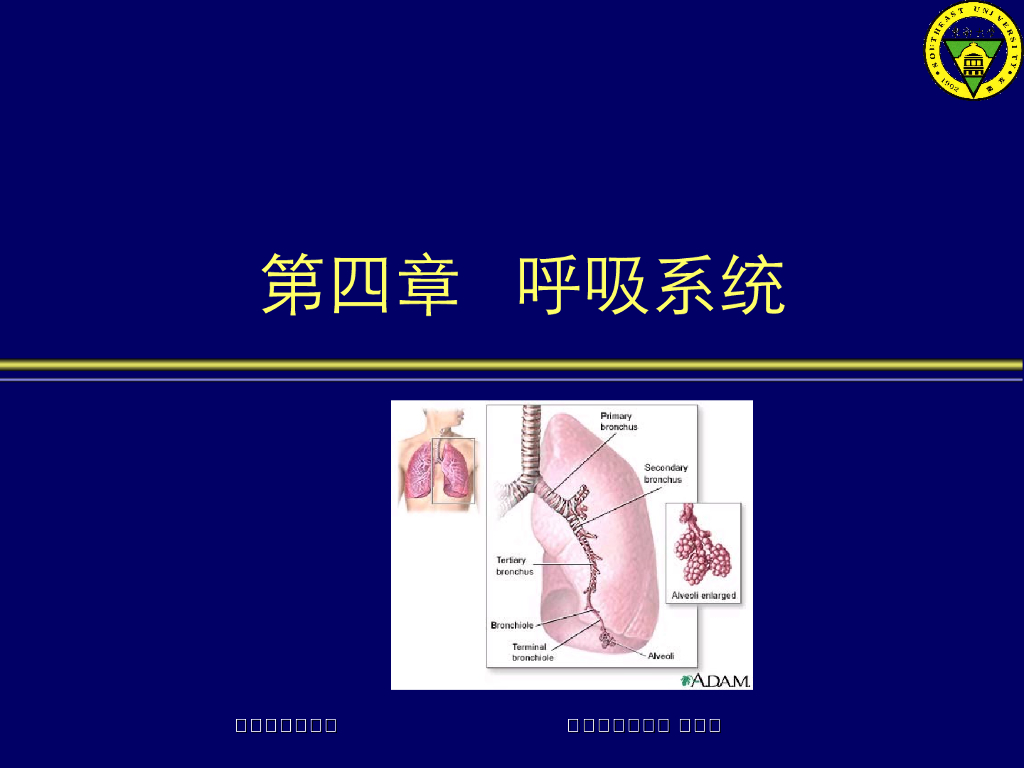 《放射诊断学》演示文稿-呼吸系统病变的异常表现 新