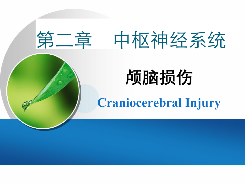 《放射诊断学》演示文稿-颅脑损伤
