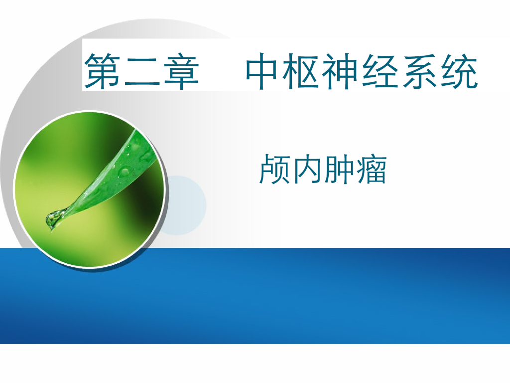 《放射诊断学》演示文稿-颅内肿瘤-1