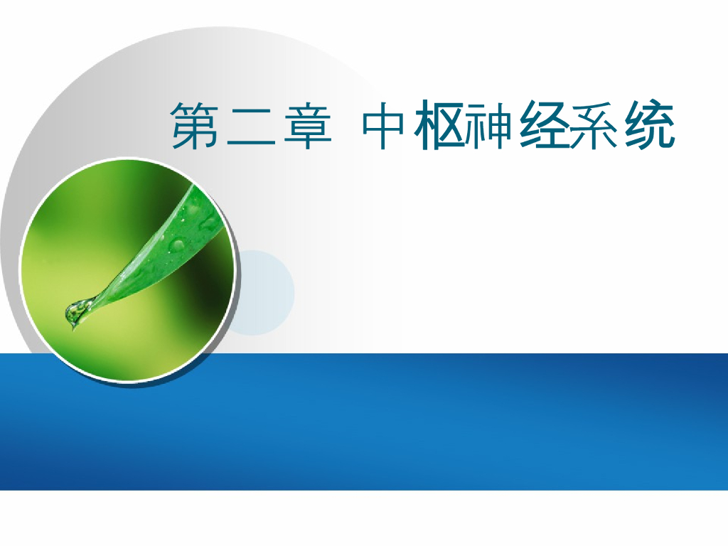 《放射诊断学》演示文稿-新生儿脑疾病等