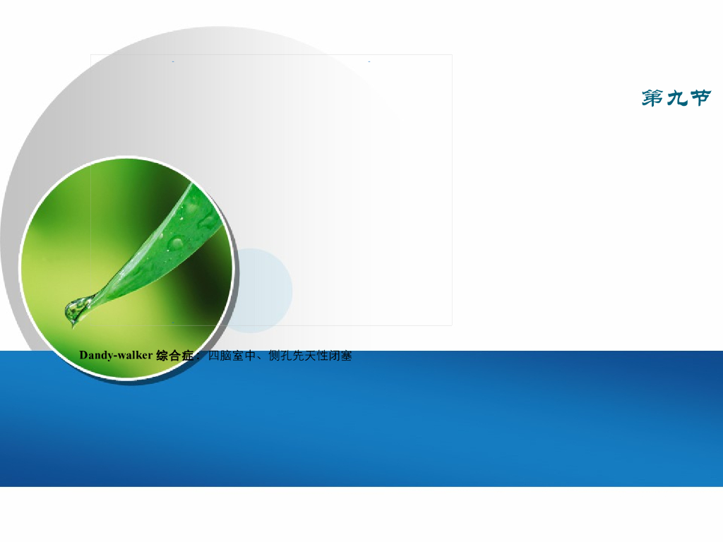 《放射诊断学》演示文稿-新生儿脑疾病等 新