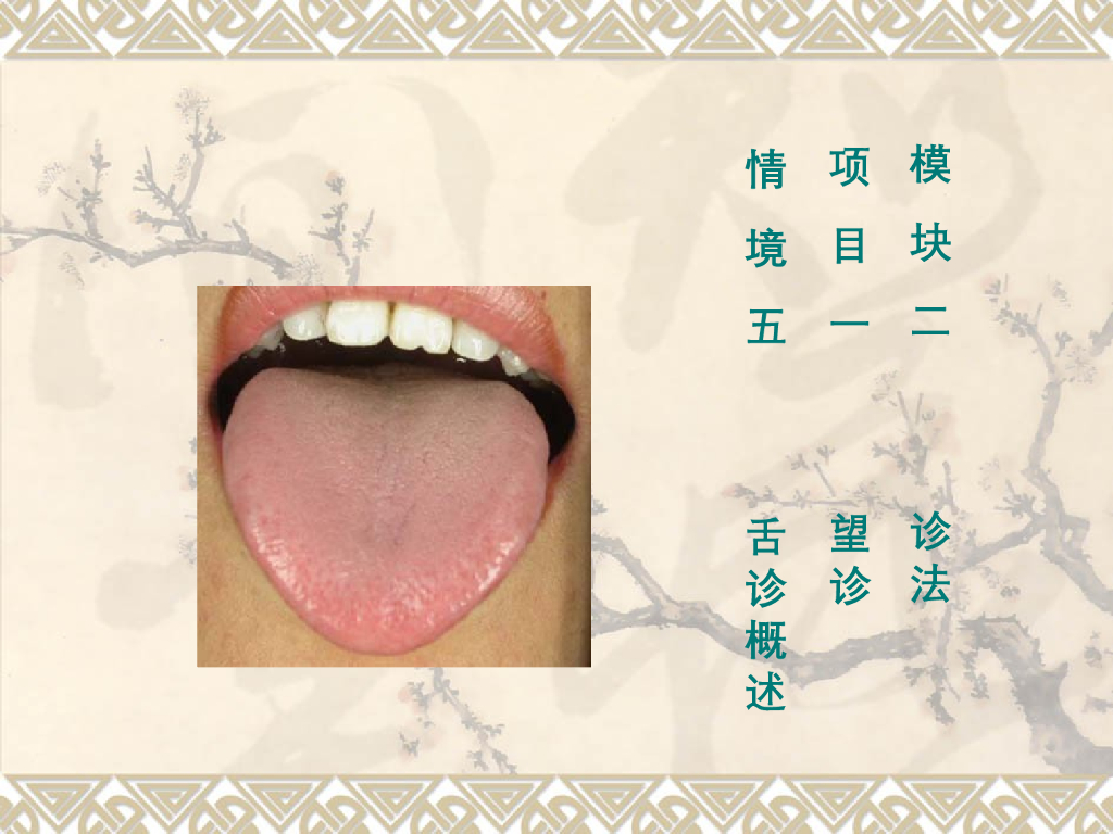 《中医诊断学》演示文稿-舌诊概述新增