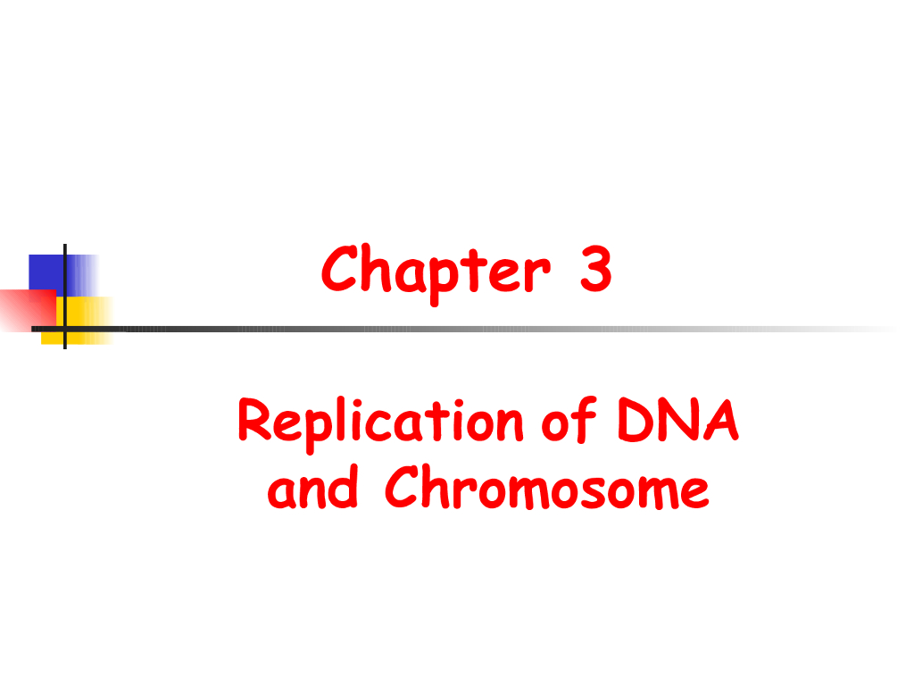 《现代遗传学》演示文稿-DNA和染色体的复制1