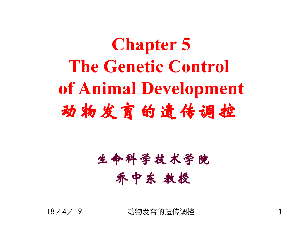 《现代遗传学》演示文稿-动物发育的分子调控1