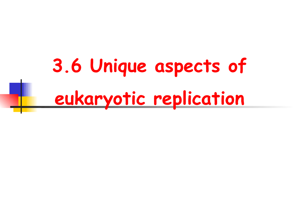 《现代遗传学》演示文稿-DNA和染色体的复制3