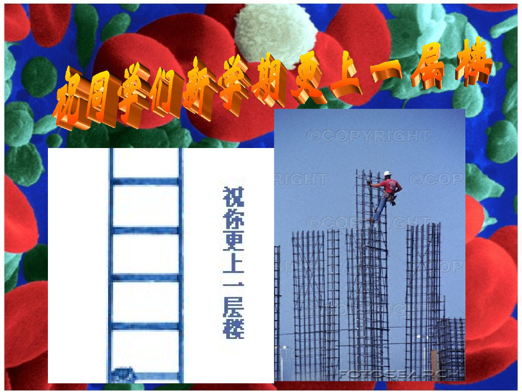 《现代遗传学》绪论