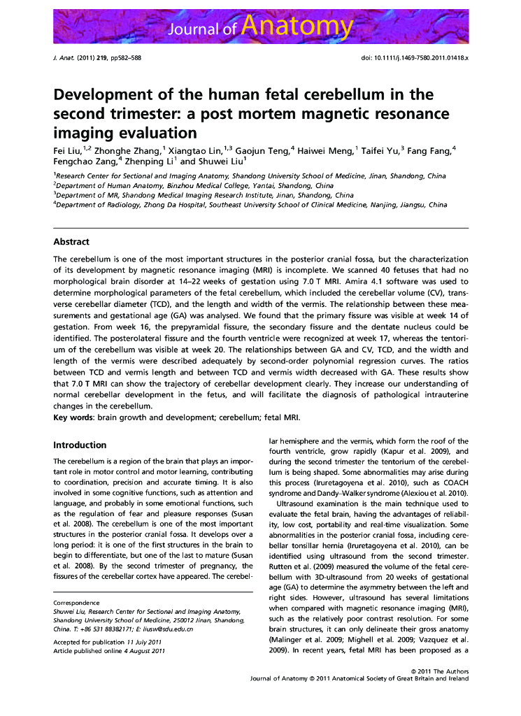 《断层影像解剖学》Development of the human fetal cerebellum