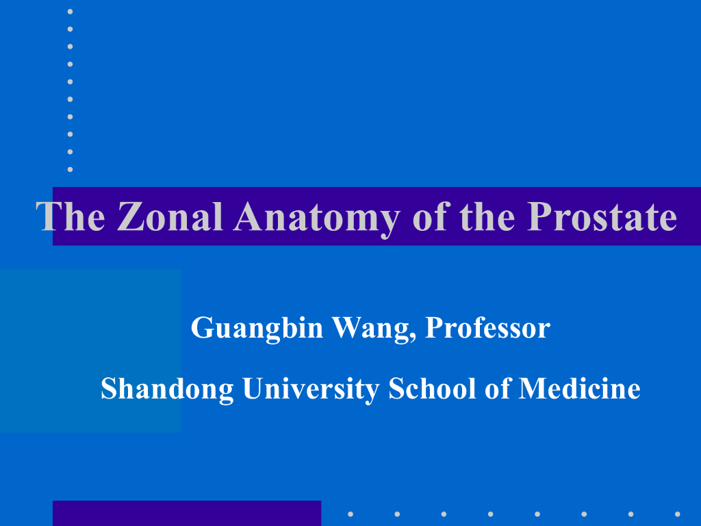 《断层影像解剖学》前列腺分区解剖