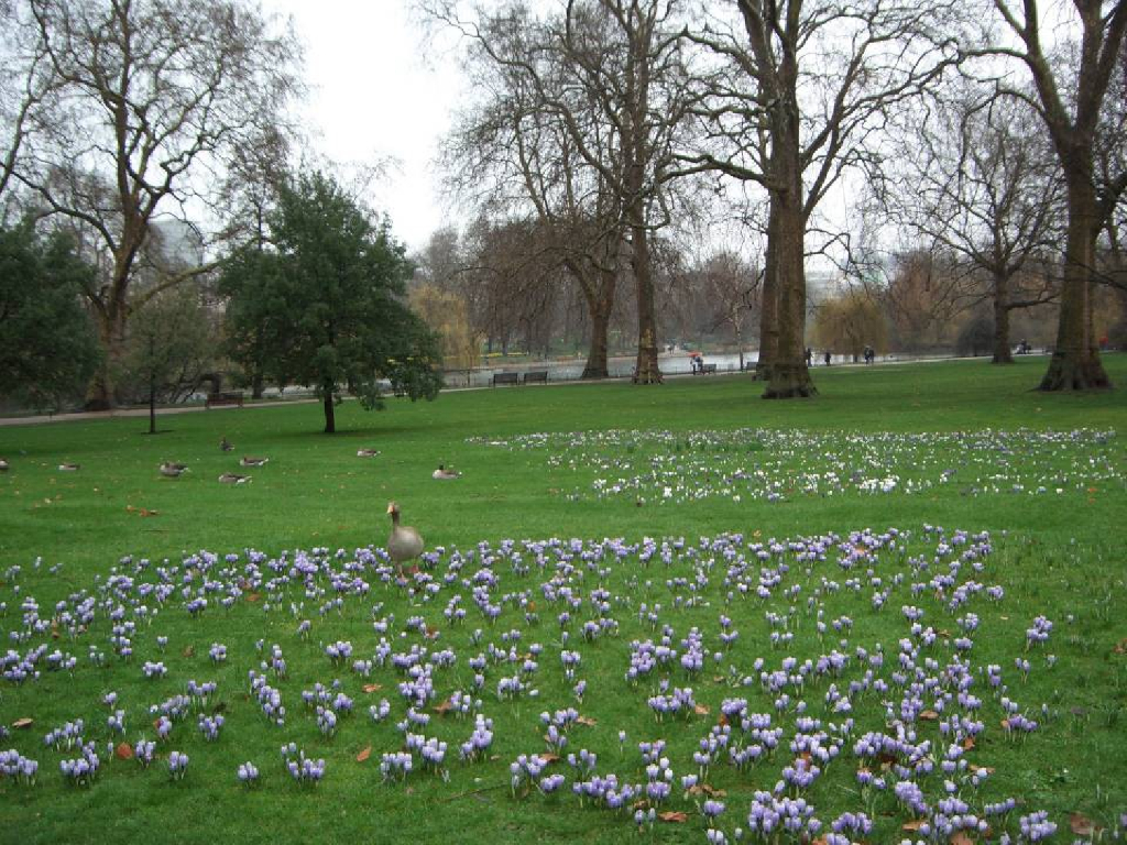 《断层影像解剖学》演示文稿-腹部横断层解剖与CT、MRI