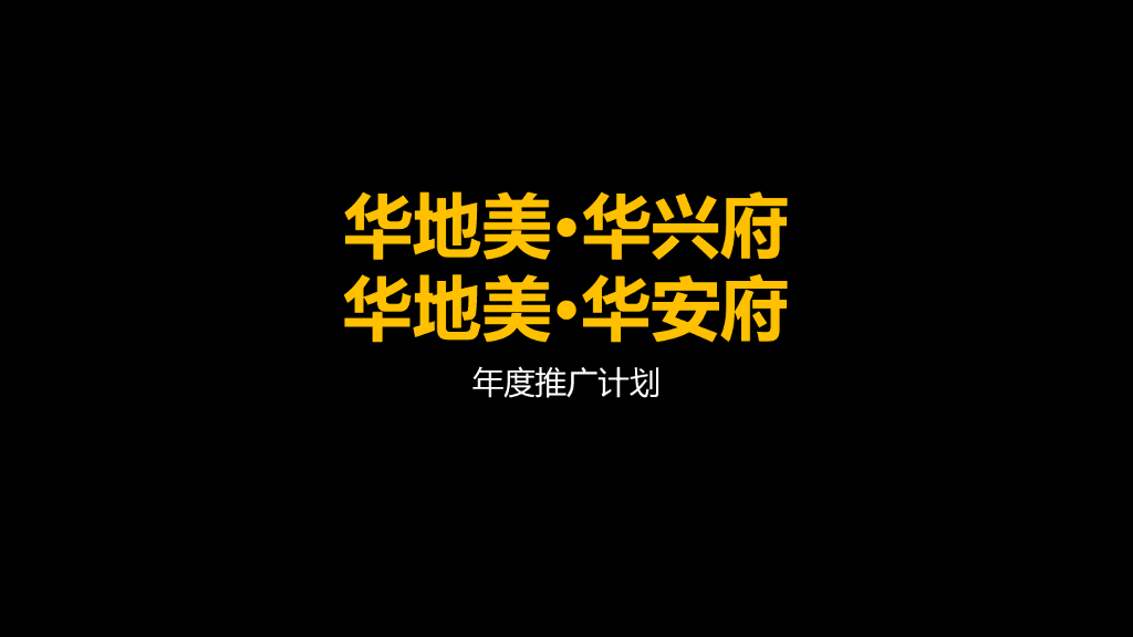 华兴府华安府年度推广方案最终版