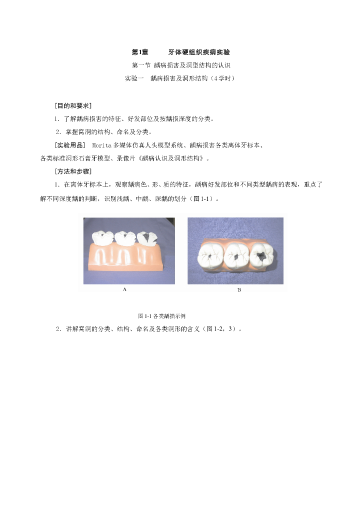 《口腔内科学》牙体牙髓病学实验指导