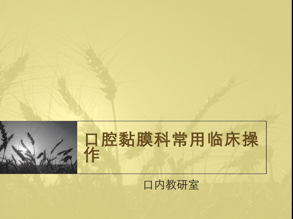 《口腔内科学》演示文稿-实验30（2学时）