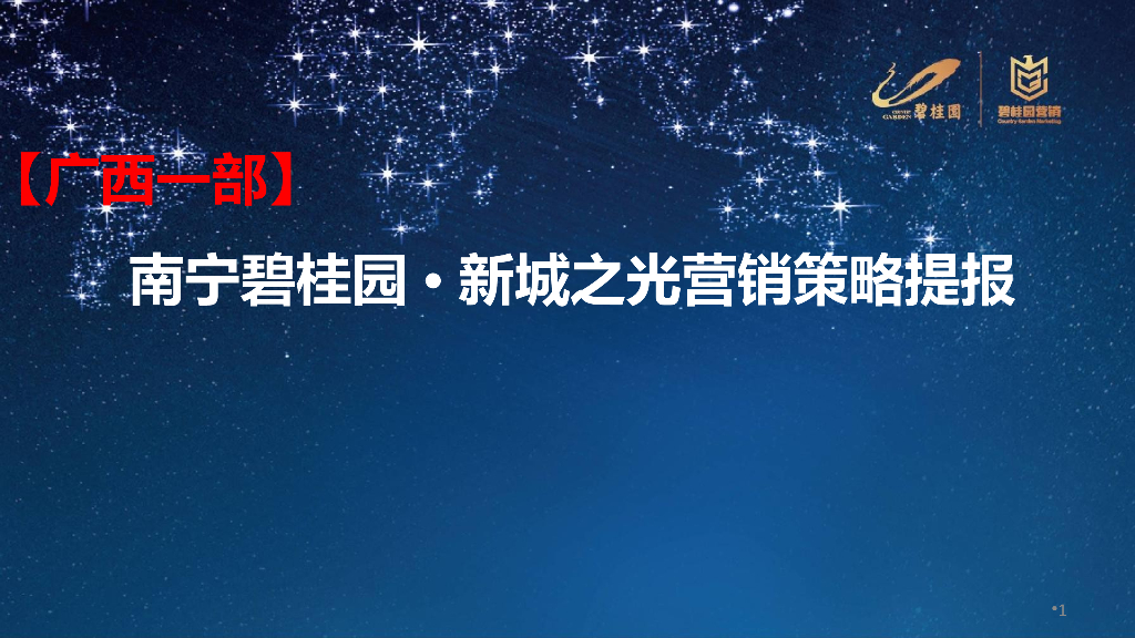 碧桂园·新城之光_营销执行策略提案