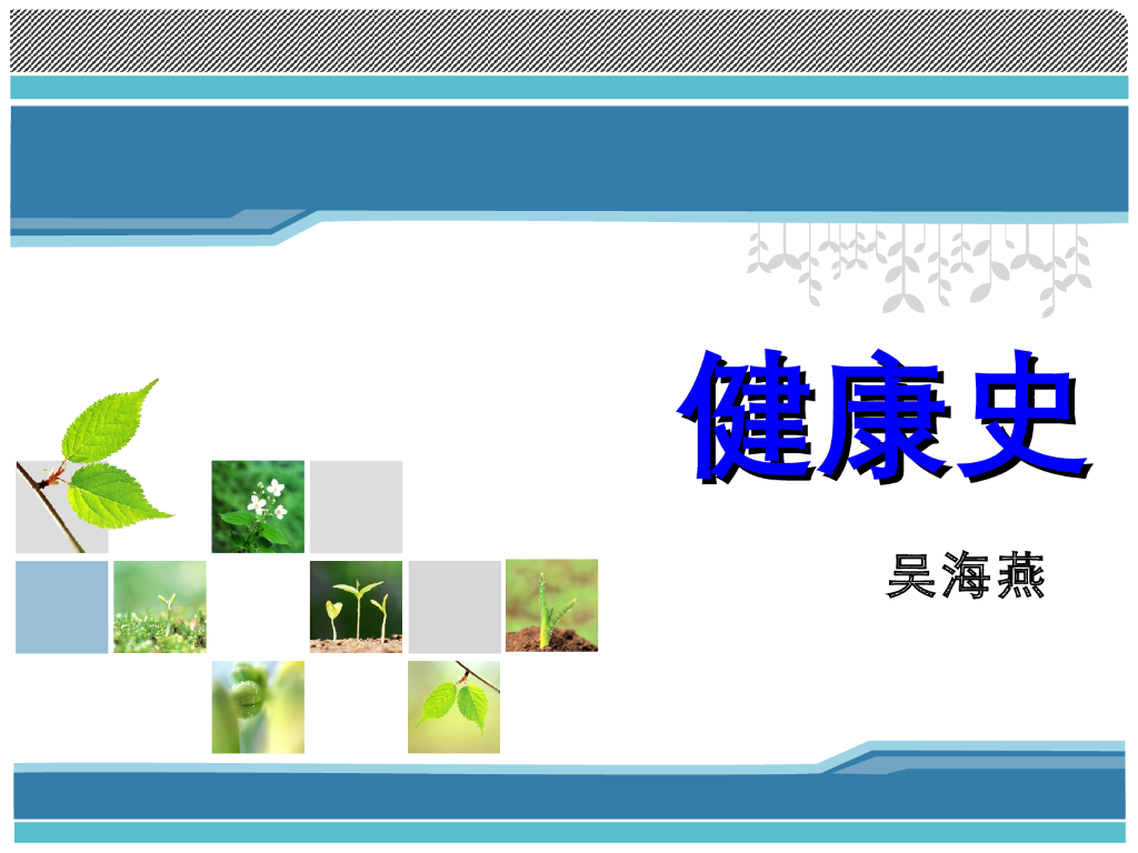 《健康评估》演示文稿-健康史