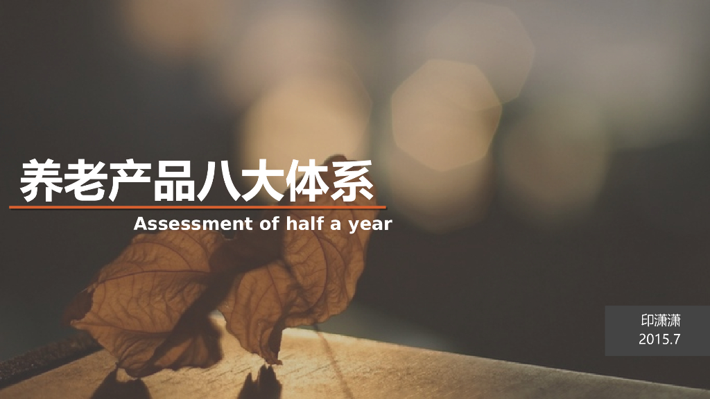 印潇潇：养老产品八大体系