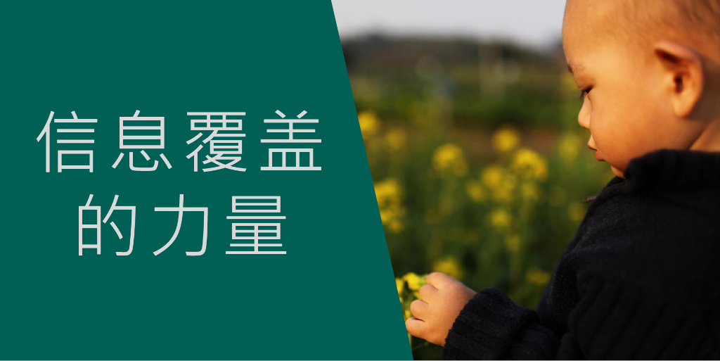 中国美林湖营销策略与案例